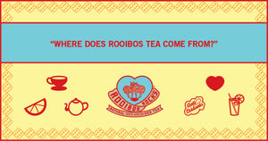 Where does rooibos tea come from?
