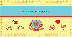 Why is Rooibos Tea red?