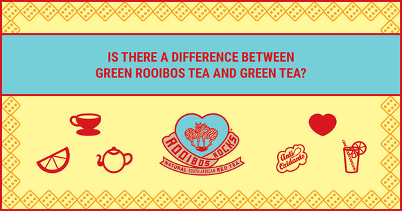 Green Rooibos Tea vs Green Tea 