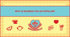 Why is Rooibos tea so popular?